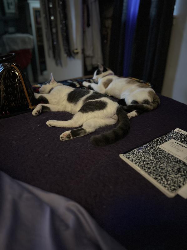 They are now Forever Friends