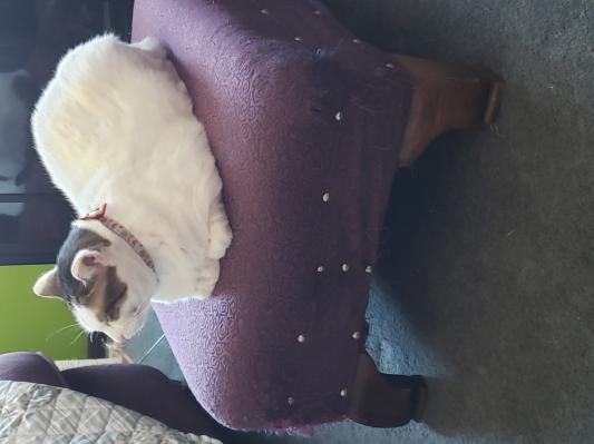 Modeling for Santa!