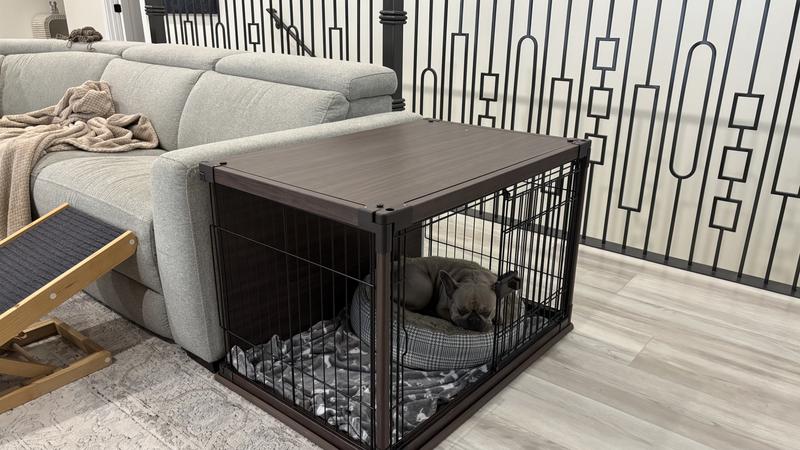 Happy girl in her new room