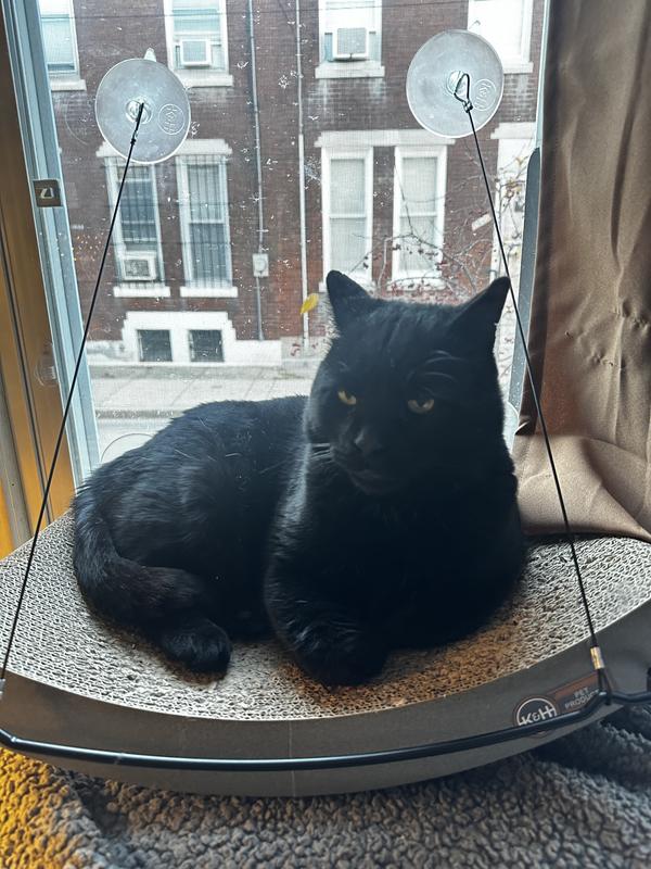 Big Ed says it’s purrfect!