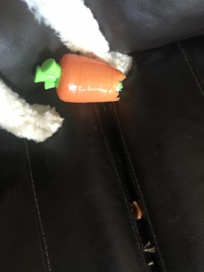 Petstages Crunch Veggies Carrot Dog Chew Toy » Dogfather and Co.