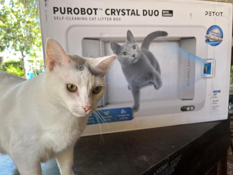 Product Reviews for PETKIT Purobot Crystal Duo Automatic Cat