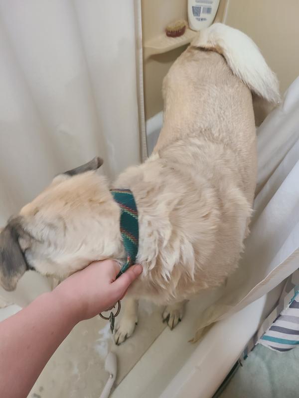 Just add Water (except his head)