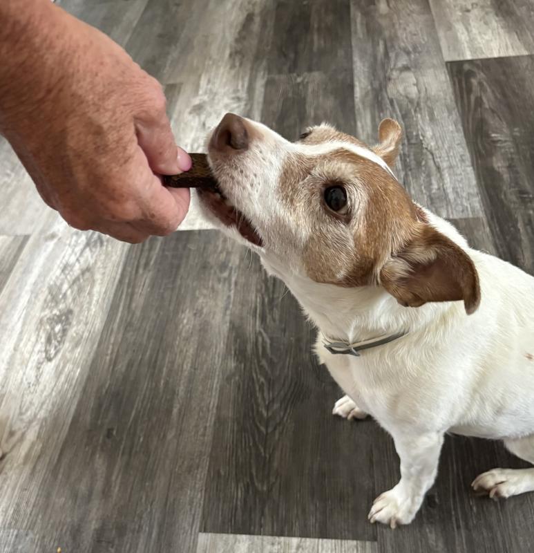 Chomp!