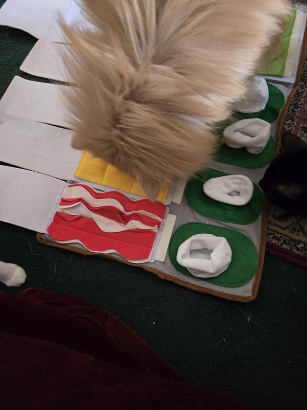 Ted rooting for treat