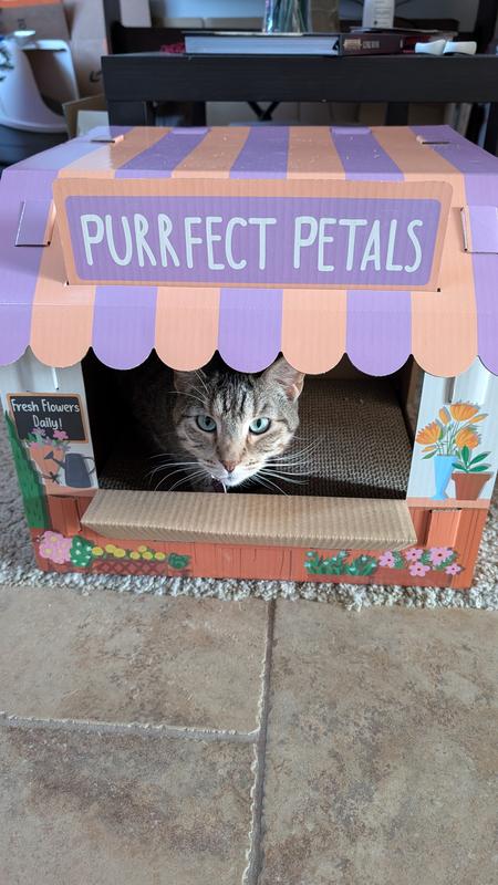 popular with the whole gang