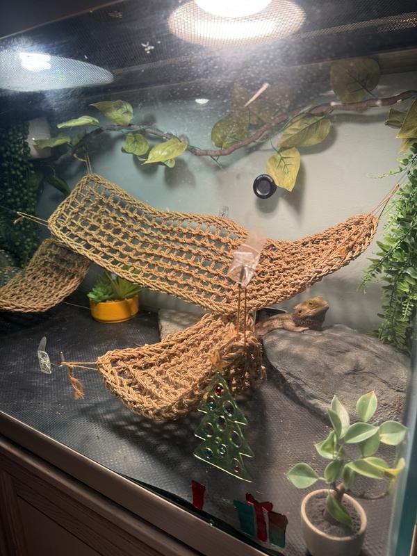 Side view with the angry dude