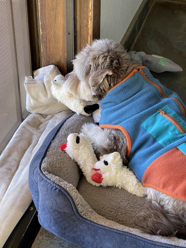 Birdwatching with friends