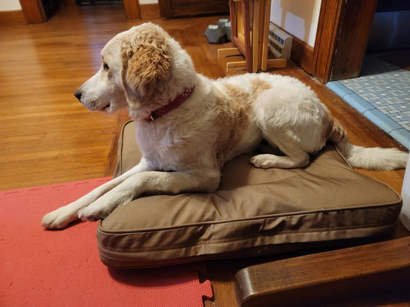 Yeah....definitely a great bed