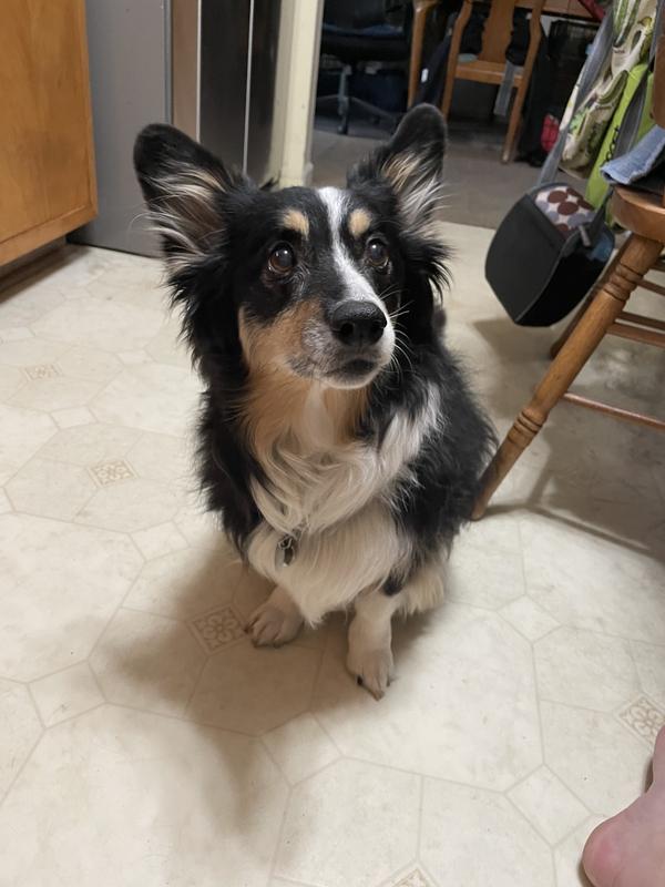 Frey says, “more please!”