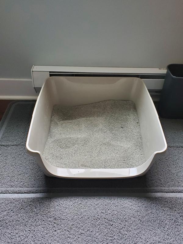 Product Reviews for FRISCO Senior Cat Litter Box, X-Large