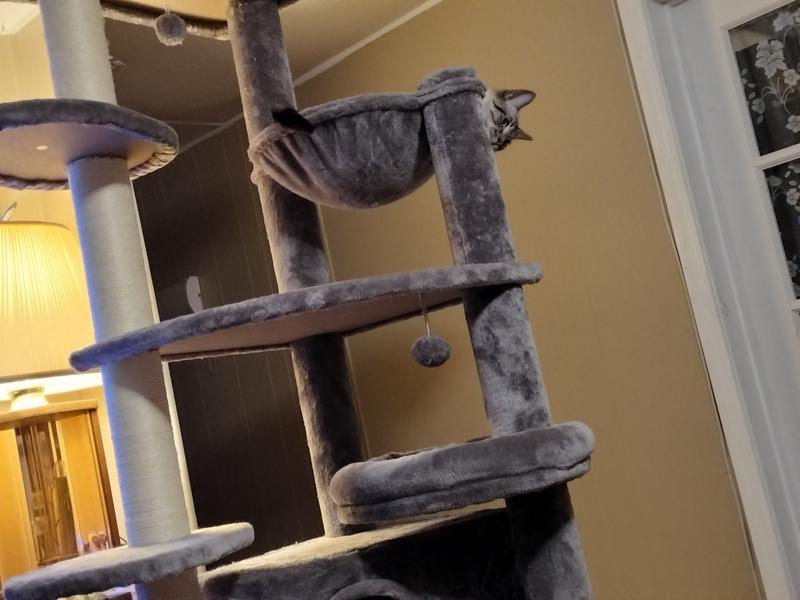 FRISCO 76in XXL Heavy Duty Cat Tree, Cream