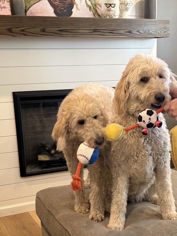 Playing tug together