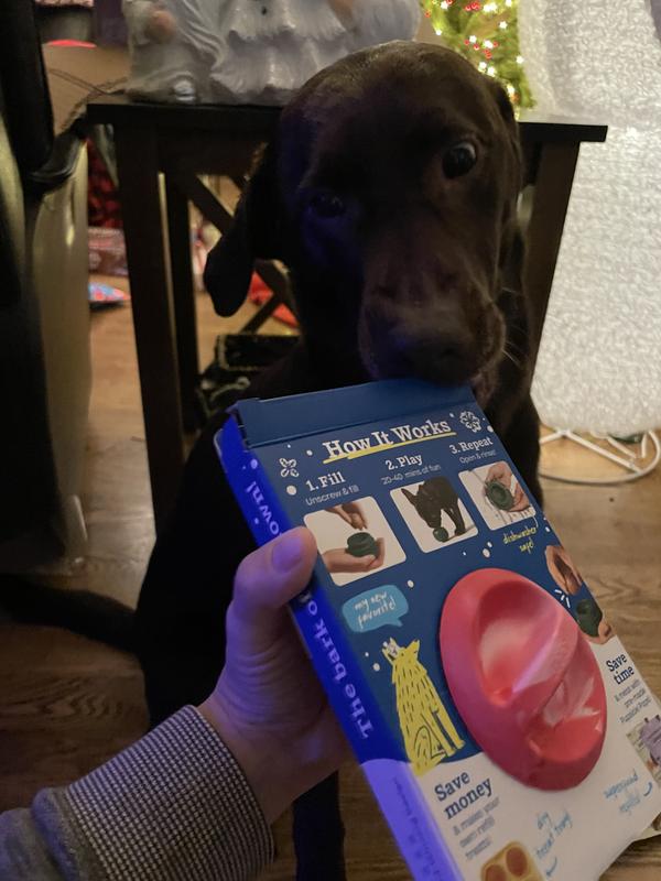 Showing her what Santa Paws brought