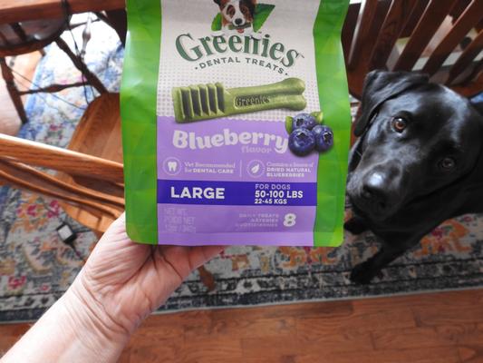 Blueberry 2024 greenies large