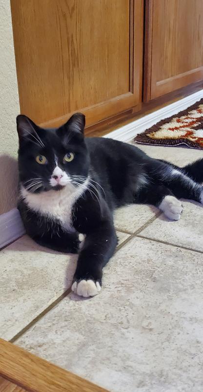 Mr.Charm aka "The Squirter"