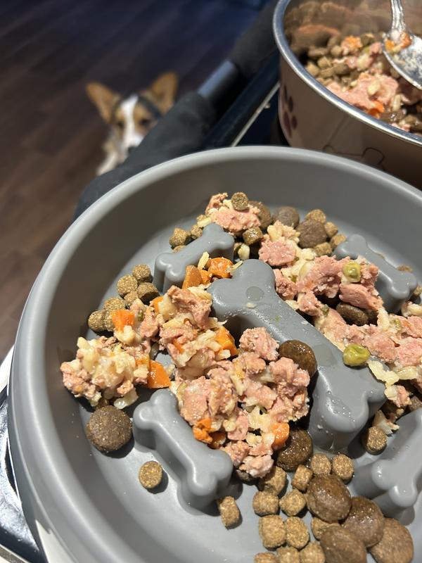 JINX Chicken Homestyle Wet Dog Food, 9oz pouch, case of 12