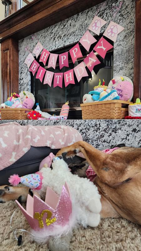 Lily loves Lamby