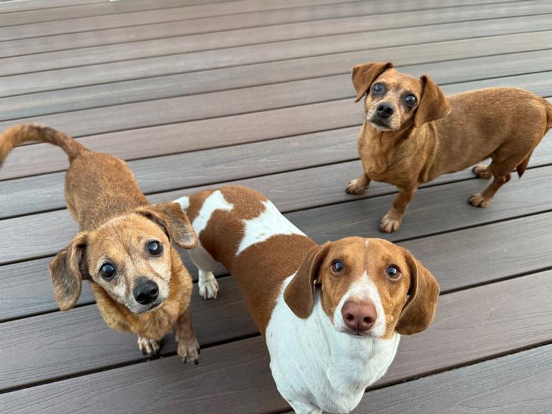 HereIntroducing the crew: The Jerkey Stick Lovers!