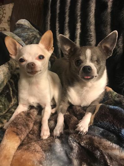 Luna and Yoda