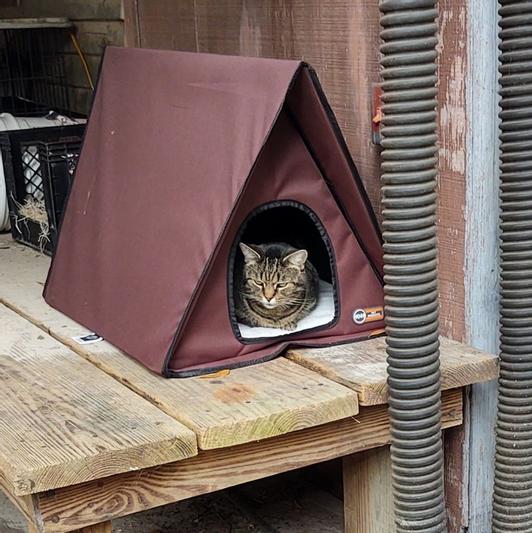 Heated a outlet frame cat house