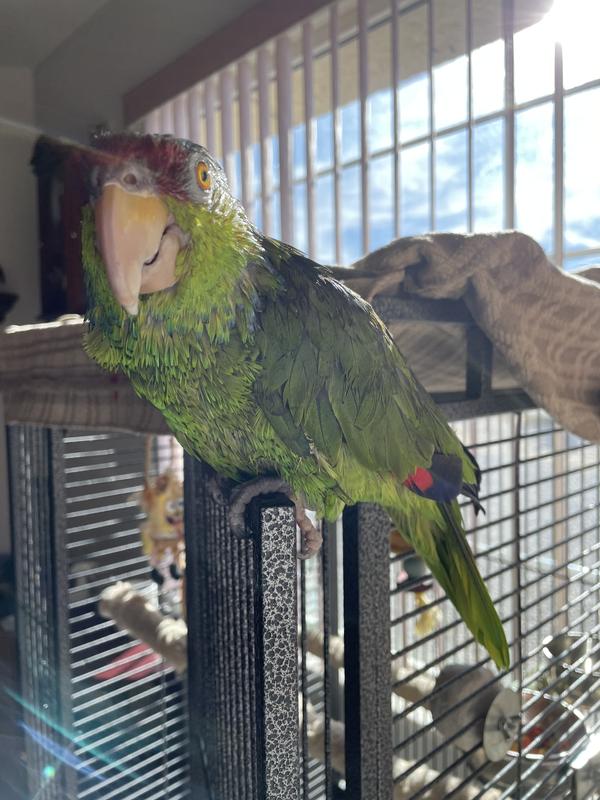 Gabby my Baby
