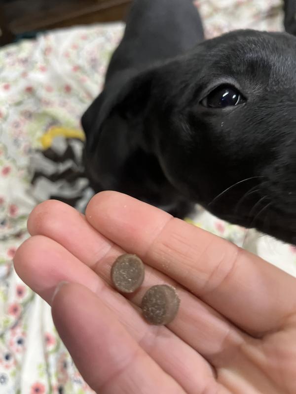 Great snacking size, packed with flavor