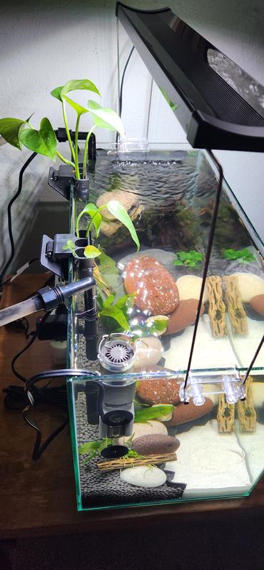 Great spray bar. You can purchase sponge pre-filter to keep fry from being lucked up.