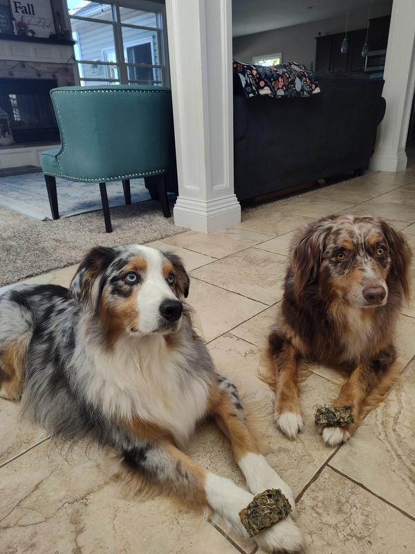 Waiting so patiently