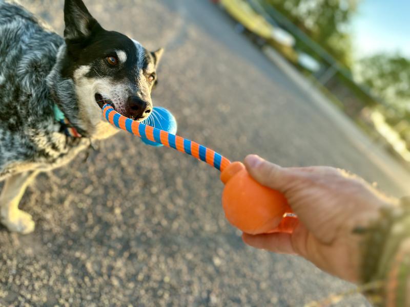Easy tug of war!