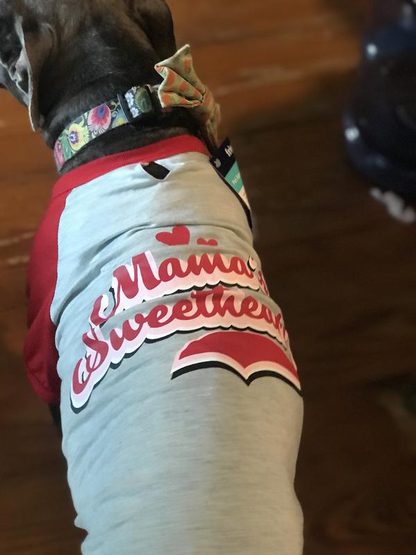 Frisco Mama's Yoga Pawtner Dog & Cat T-Shirt