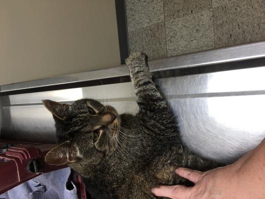 Relaxing at Vet Office