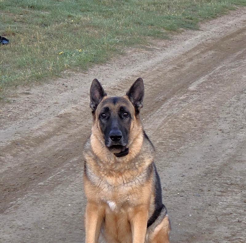 Before Using Levothyroxine