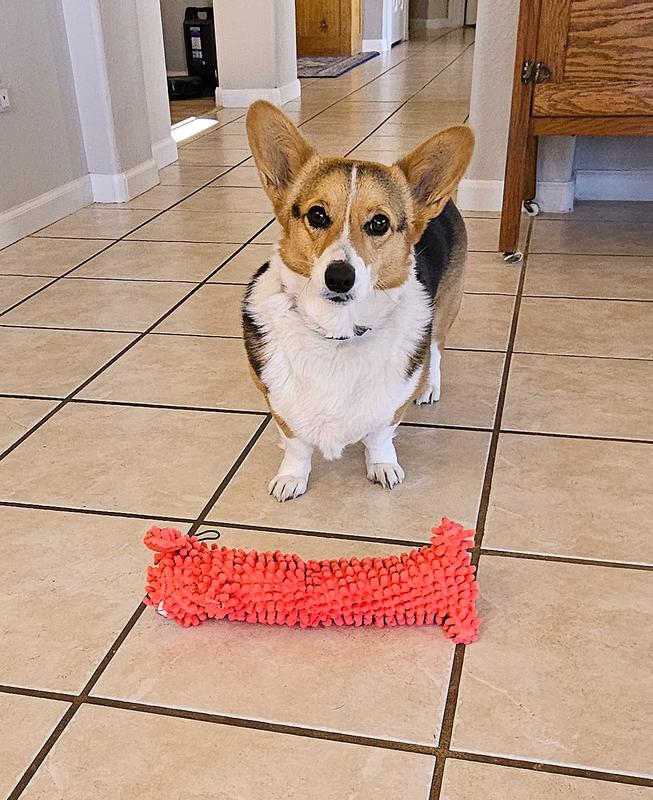 I would like to belong to the new toy a week club!