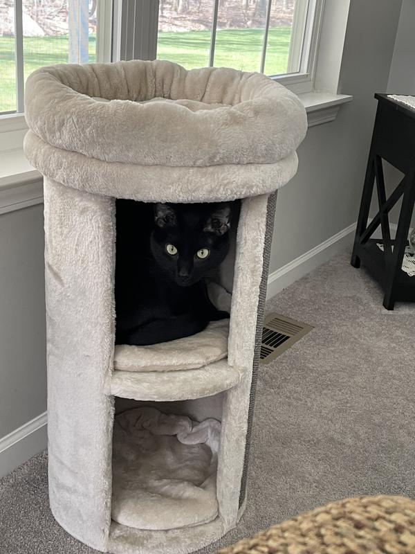 Great hideout for large cats