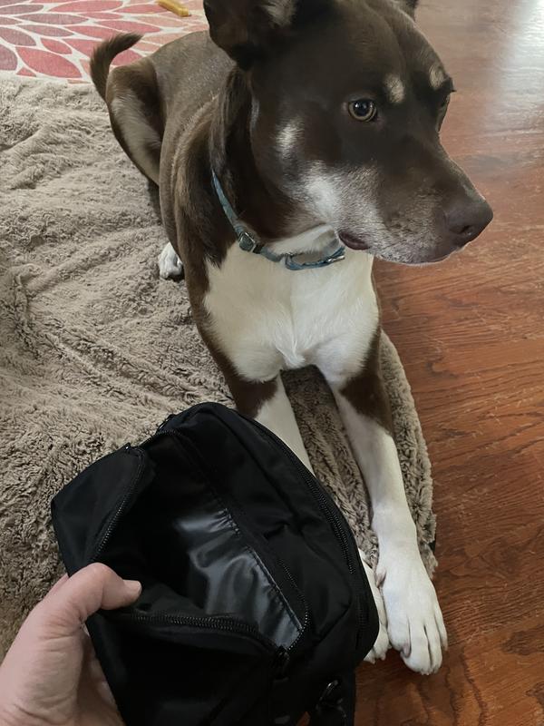 Waterproof lining on the outside pocket is nice for treats