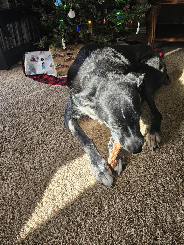 Quality Bully Sticks