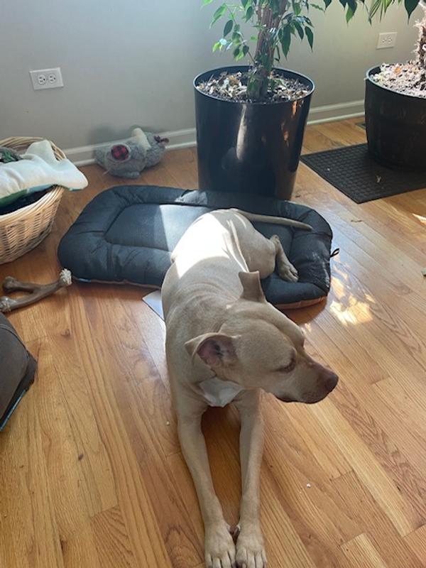 Comfortable for the feet