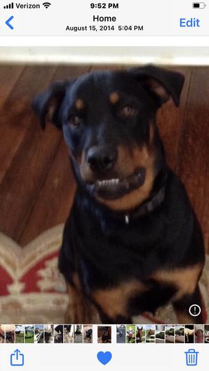 Willow waiting for a treat!!