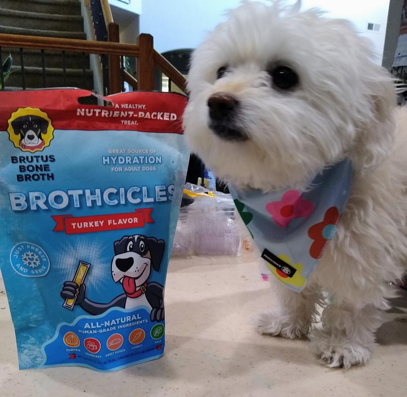 Bella with her bag of Brutus Brothcicles