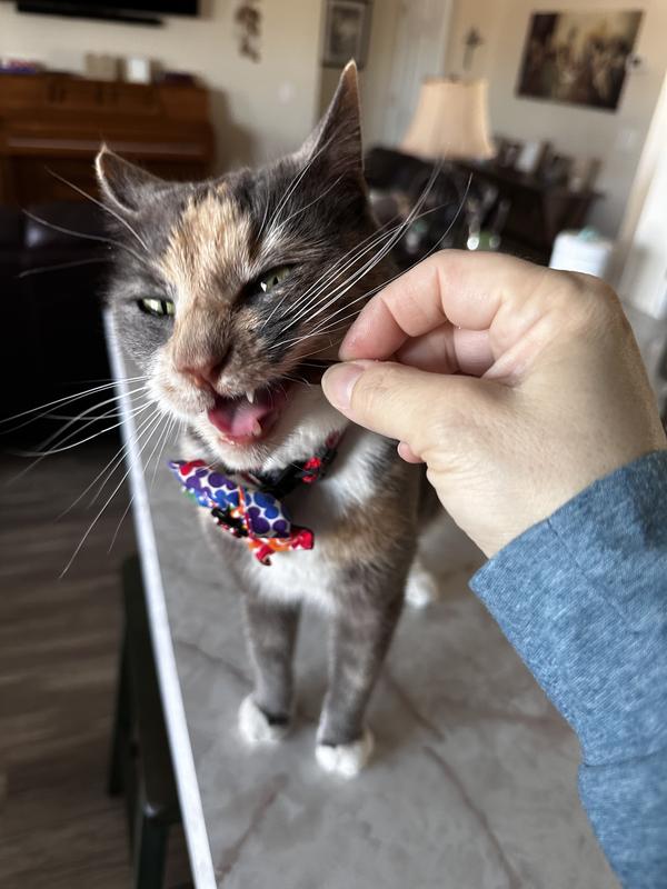 Luna likes it!