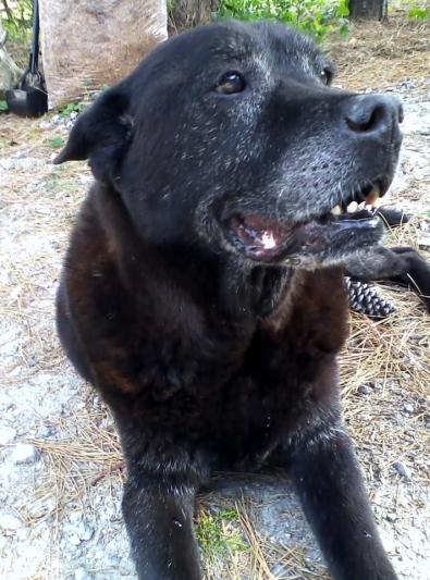 xo My old man xo