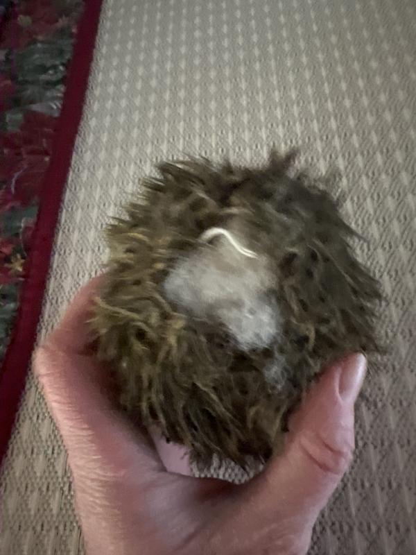 Came in sewed almost immediately