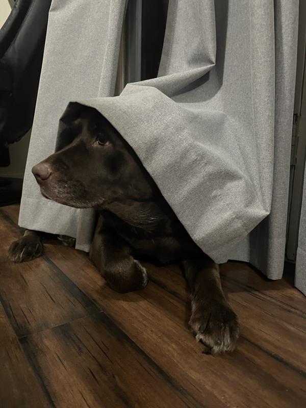 Playing hide and seek