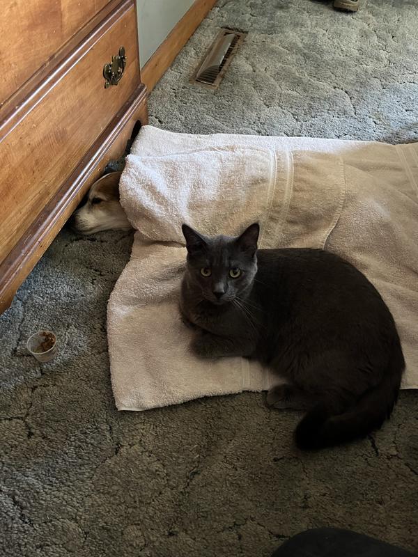 Wendell comforting Cody