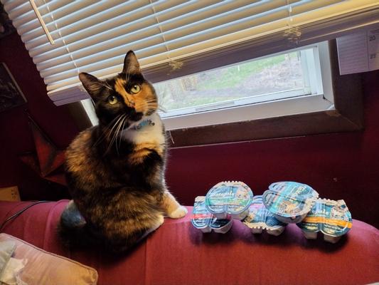 Charlotte patiently waiting