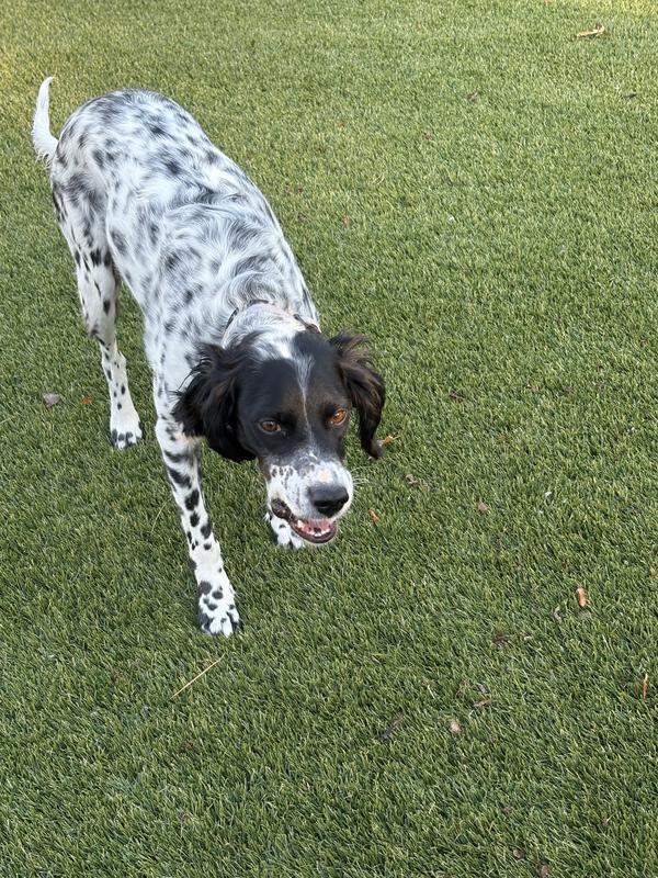 Took more than a second to enjoy