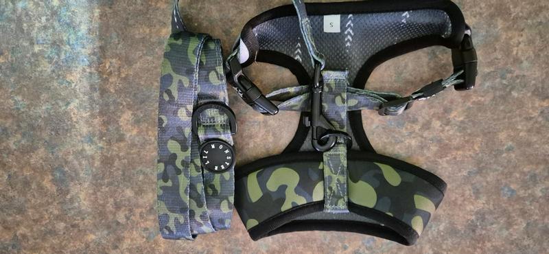 Harness and leash combo