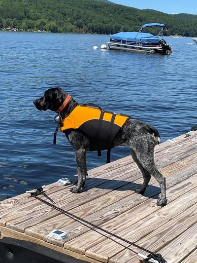 Lake Life for a GSP