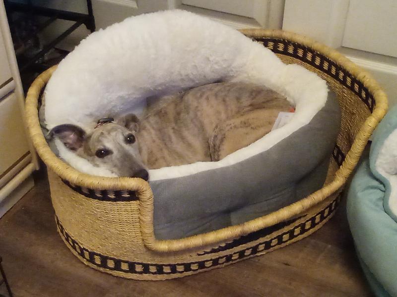 BEST FRIENDS BY SHERI Throne Cuddler Bolster Cat & Dog Bed, Grey, Jumbo